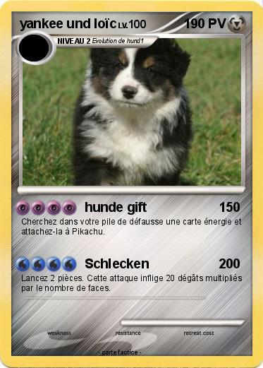 Pokemon yankee und loïc