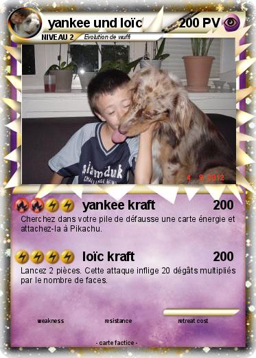 Pokemon yankee und loïc