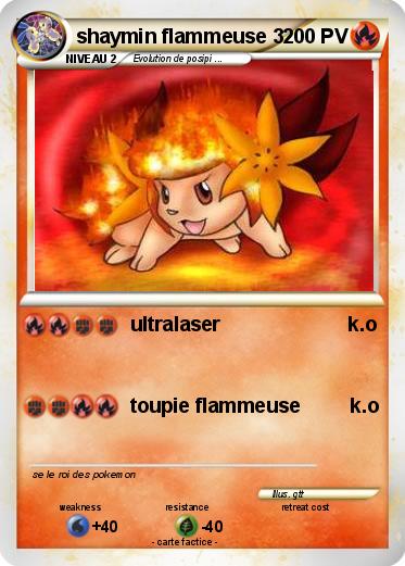 Pokemon shaymin flammeuse 3