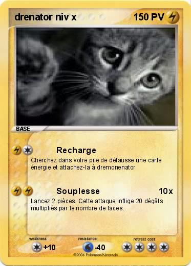 Pokemon drenator niv x