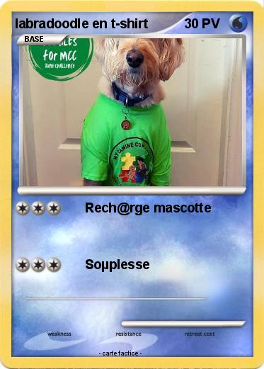 Pokemon labradoodle en t-shirt