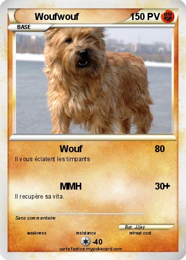 Pokemon Woufwouf