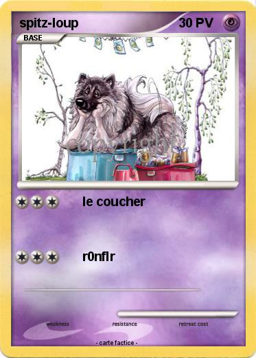 Pokemon spitz-loup
