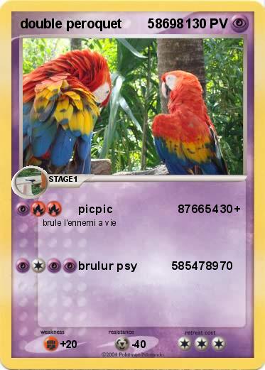 Pokemon double peroquet       58698