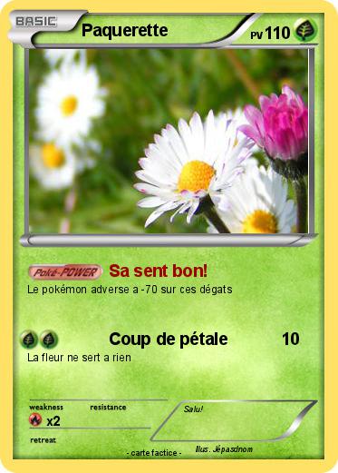 Pokemon Paquerette
