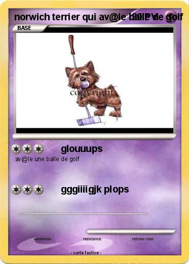 Pokemon norwich terrier qui av@le balle de golf