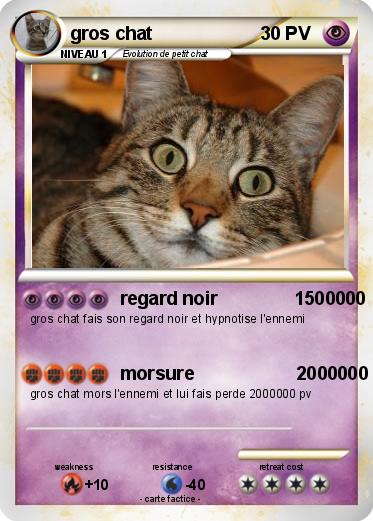 Pokemon gros chat