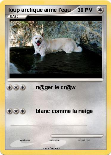 Pokemon loup arctique aime l'eau