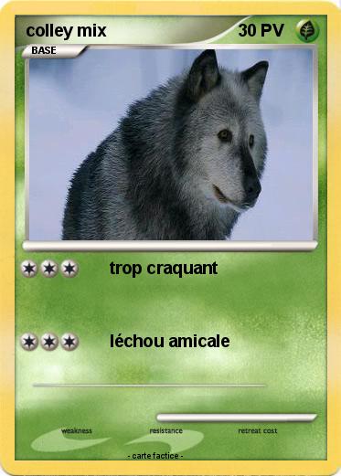 Pokemon colley mix