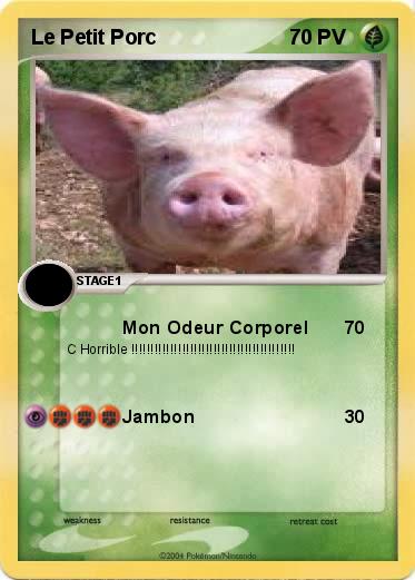 Pokemon Le Petit Porc 