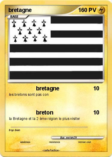 Pokemon bretagne