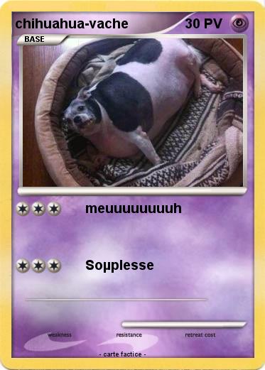 Pokemon chihuahua-vache