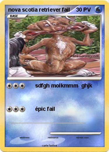 Pokemon nova scotia retriever fail