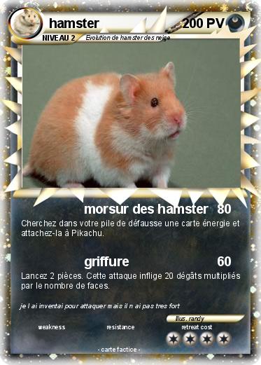 Pokemon hamster