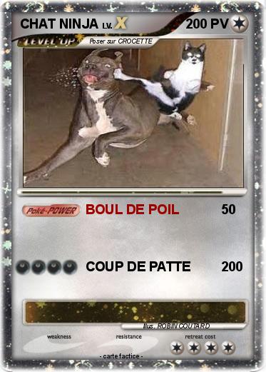 Pokemon CHAT NINJA