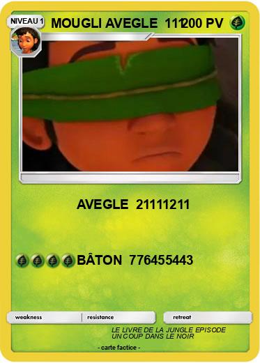 Pokemon MOUGLI AVEGLE  111