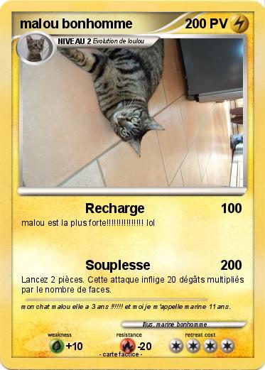 Pokemon malou bonhomme