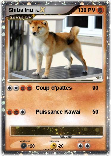 Pokemon Shiba Inu