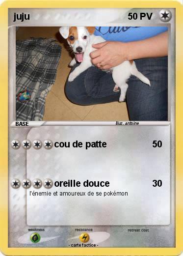 Pokemon juju