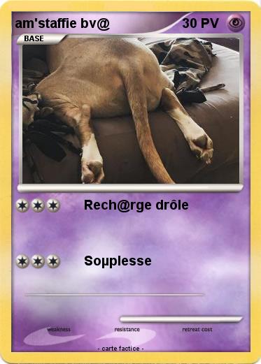 Pokemon am'staffie bv@