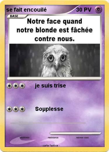Pokemon se fait encouilé
