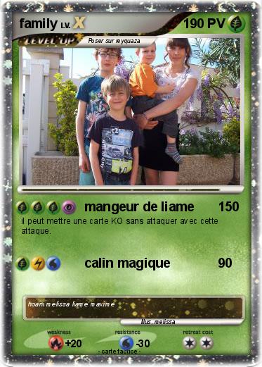 Pokemon family