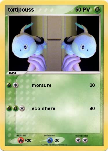 Pokemon tortipouss