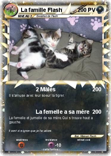 Pokemon La famille Flash