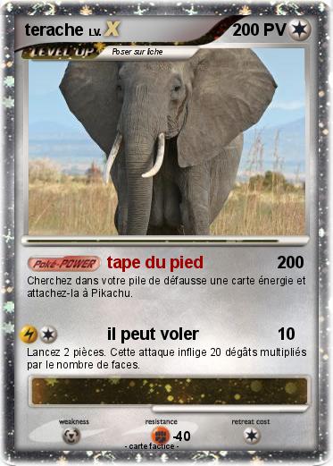 Pokemon terache