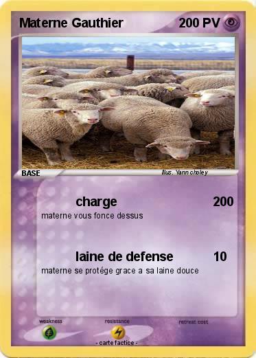 Pokemon Materne Gauthier