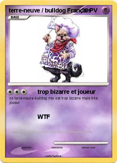 Pokemon terre-neuve / bulldog Français