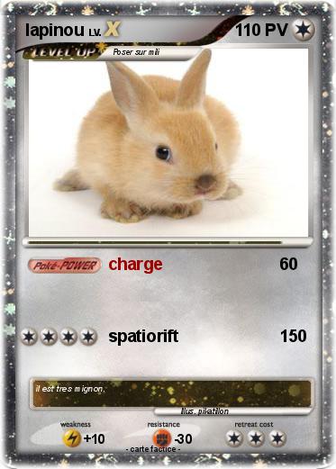Pokemon lapinou