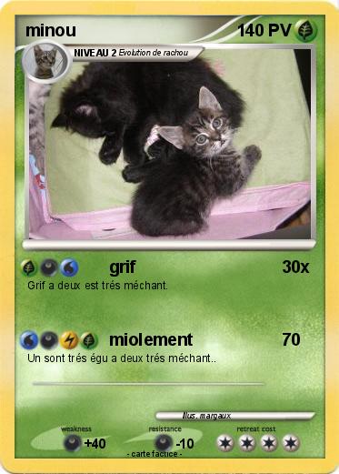Pokemon minou