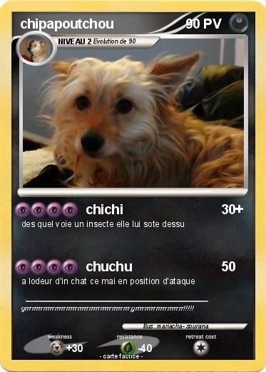 Pokemon chipapoutchou