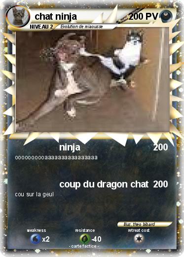 Pokemon chat ninja