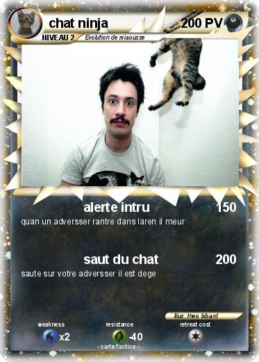 Pokemon chat ninja