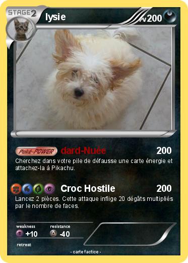 Pokemon lysie