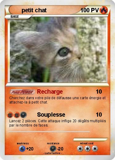 Pokemon petit chat