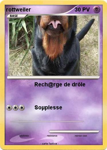 Pokemon rottweiler