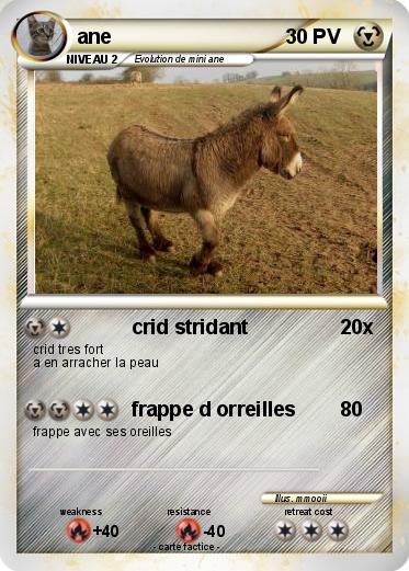 Pokemon ane
