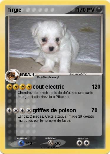 Pokemon firgie