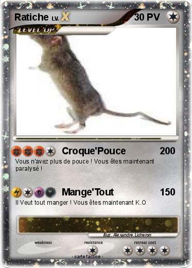Pokemon Ratiche