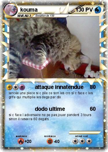 Pokemon kouma