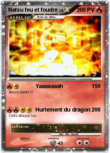Pokemon Natsu feu et foudre
