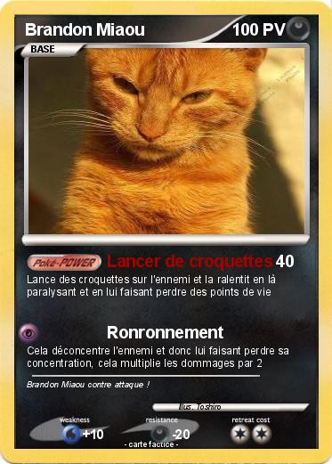 Pokemon Brandon Miaou