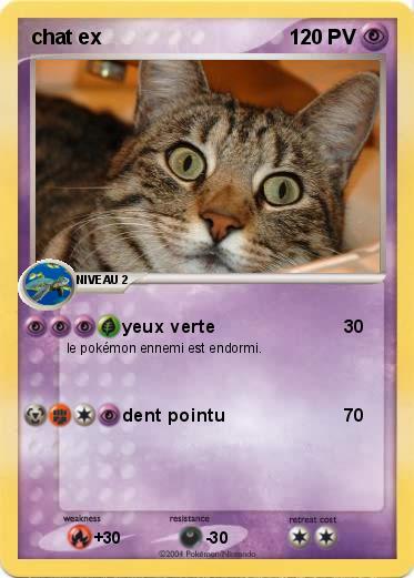 Pokemon chat ex