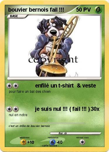 Pokemon bouvier bernois fail !!!