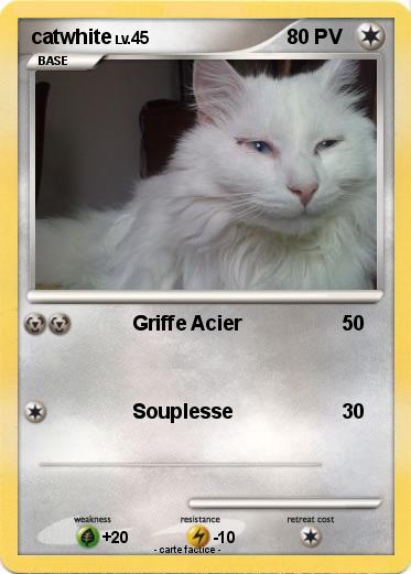 Pokemon catwhite
