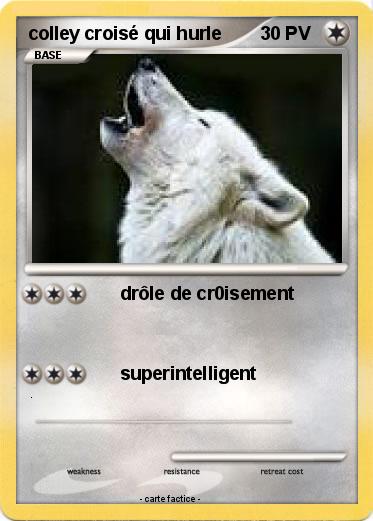 Pokemon colley croisé qui hurle