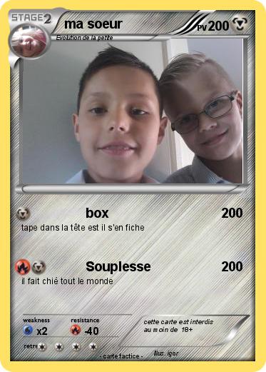 Pokemon ma soeur